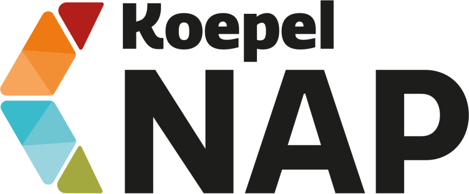 logo nap